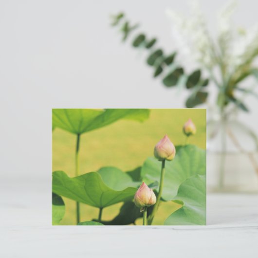 Thailand, Bangkok. Grand Palace, Lotus Postkarte (Stehend Vorderseite)