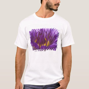 Thailand, Bangkok, Lila und gelbe Lotusblume 2 T-Shirt