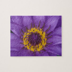 Thailand, Bangkok, Lila und gelbe Lotusblume Puzzle