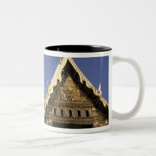 Thailand, Bangkok. Morgensonne spiegelt sich in de Zweifarbige Tasse