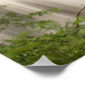 Thailand, Huai Mae Khamin Wasserfall Poster (Ecke)