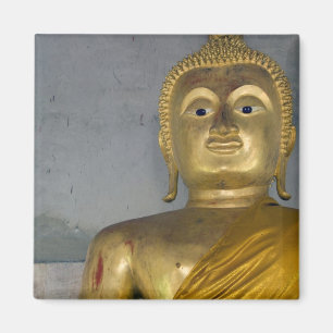 Thailand, Insel Ko Samui (auch Koh Samui). Magnet