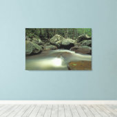 Thailand, Kohsamui Insel, Regenwaldlandschaft. Leinwanddruck (Insitu (Holzboden))