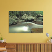 Thailand, Kohsamui Insel, Regenwaldlandschaft. Leinwanddruck (Insitu (Wohnzimmer))
