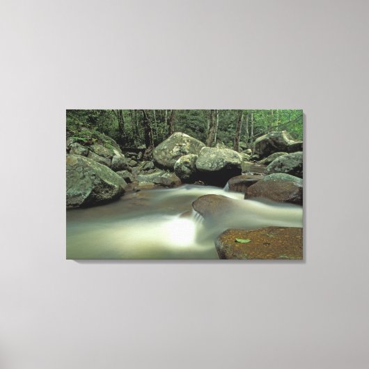 Thailand, Kohsamui Insel, Regenwaldlandschaft. Leinwanddruck (Vorderseite)