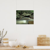 Thailand, Kohsamui Insel, Regenwaldlandschaft. Poster (Küche)