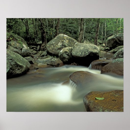 Thailand, Kohsamui Insel, Regenwaldlandschaft. Poster (Vorne)