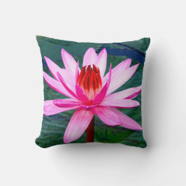 Thailand - Kumphawapi Lotus Lake Kissen