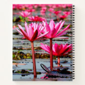 Thailand - Kumphawapi Lotus Lake Notizblock (Rückseite)