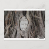 Thailand Leiter von Buddha, umgeben von Bäumen Postkarte (Rückseite)