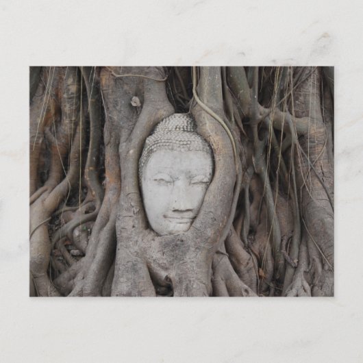 Thailand Leiter von Buddha, umgeben von Bäumen Postkarte (Vorderseite)