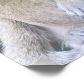 Thailand Monkey Mother and Child Hug Poster (Ecke)