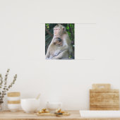 Thailand Monkey Mother and Child Hug Poster (Küche)