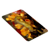 Thailand, Nahes Seepferd Magnet (Rechte Seite)