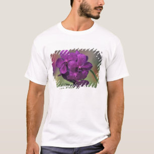 Thailand, Nordthailand, nahe Chang Mai, Mae T-Shirt
