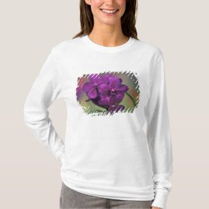 Thailand, Nordthailand, nahe Chang Mai, Mae T-Shirt