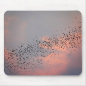 Thailand - Phu Pha Man National Park Bat Mousepad (Vorne)