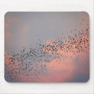 Thailand - Phu Pha Man National Park Bat Mousepad