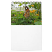 Thailand-Schmetterlinge Kalender (Titelbild)