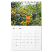 Thailand-Schmetterlinge Kalender (Feb 2027)