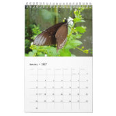 Thailand-Schmetterlinge Kalender (Jan 2027)