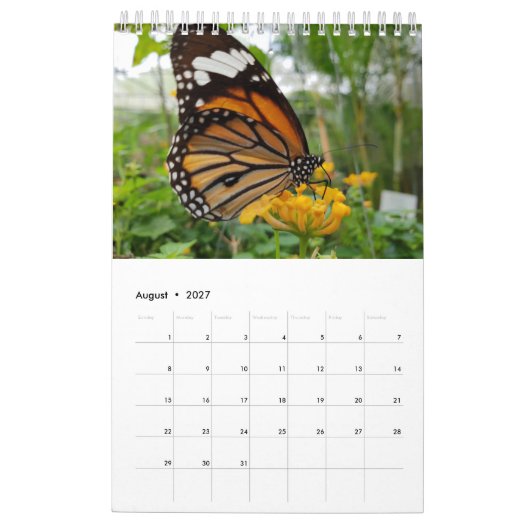 Thailand-Schmetterlinge Kalender (Aug 2027)