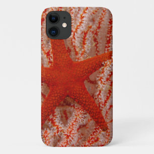 Thailand, Sea Star Aka Starfish Case-Mate iPhone Hülle