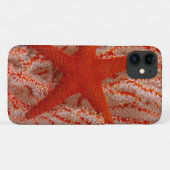 Thailand, Sea Star Aka Starfish Case-Mate iPhone Hülle (Rückseite (Horizontal))