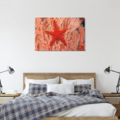 Thailand, Sea Star Aka Starfish Leinwanddruck (Insitu (Schlafzimmer))