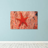 Thailand, Sea Star Aka Starfish Leinwanddruck (Insitu (Holzboden))