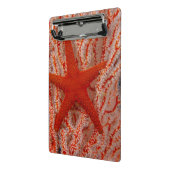 Thailand, Sea Star Aka Starfish Mini Klemmbrett (Gewinkelt2)