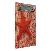 Thailand, Sea Star Aka Starfish Mini Klemmbrett (Schrägansicht)