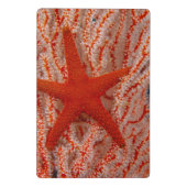 Thailand, Sea Star Aka Starfish Mini Klemmbrett (Rückseite)