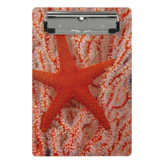 Thailand, Sea Star Aka Starfish Mini Klemmbrett (Vorderseite)