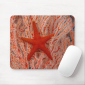 Thailand, Sea Star Aka Starfish Mousepad (Mit Mouse)