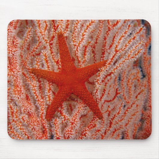 Thailand, Sea Star Aka Starfish Mousepad (Vorne)