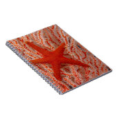 Thailand, Sea Star Aka Starfish Notizblock (Rechte Seite)