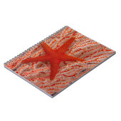 Thailand, Sea Star Aka Starfish Notizblock (Linke Seite)