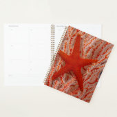 Thailand, Sea Star Aka Starfish Planer (Anzeige)