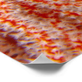 Thailand, Sea Star Aka Starfish Poster (Ecke)