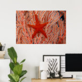 Thailand, Sea Star Aka Starfish Poster (Heimbüro)