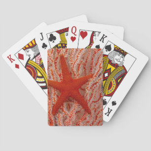 Thailand, Seestern aka Seestern Spielkarten