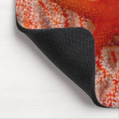 Thailand, Seestern Mousepad (Ecke)
