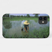 Thailand, Sukhothai. Reis-BauerHERR Case-Mate iPhone Hülle (Rückseite (Horizontal))