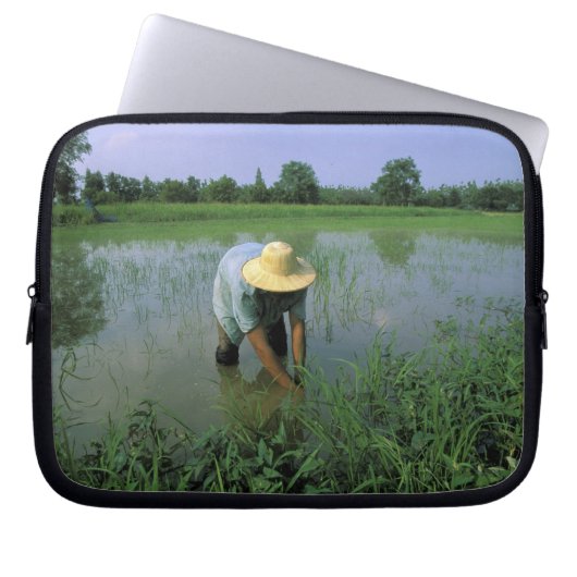 Thailand, Sukhothai. Reis-BauerHERR Laptopschutzhülle (Vorderseite)