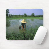 Thailand, Sukhothai. Reis-BauerHERR Mousepad (Mit Mouse)