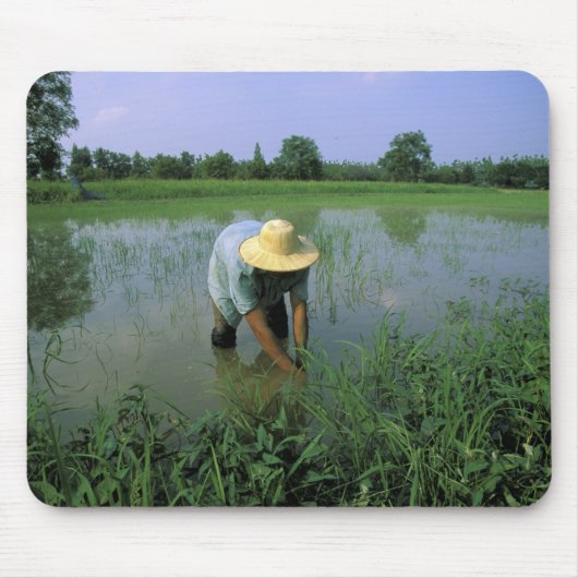 Thailand, Sukhothai. Reis-BauerHERR Mousepad (Vorne)