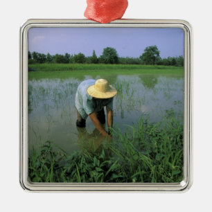 Thailand, Sukhothai. Reisbauer. MR. Silbernes Ornament