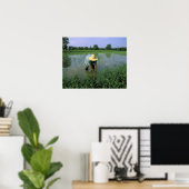 Thailand, Sukhothai. Rice farmer. MR. Poster (Heimbüro)