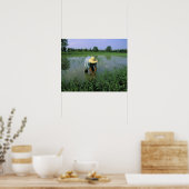 Thailand, Sukhothai. Rice farmer. MR. Poster (Küche)